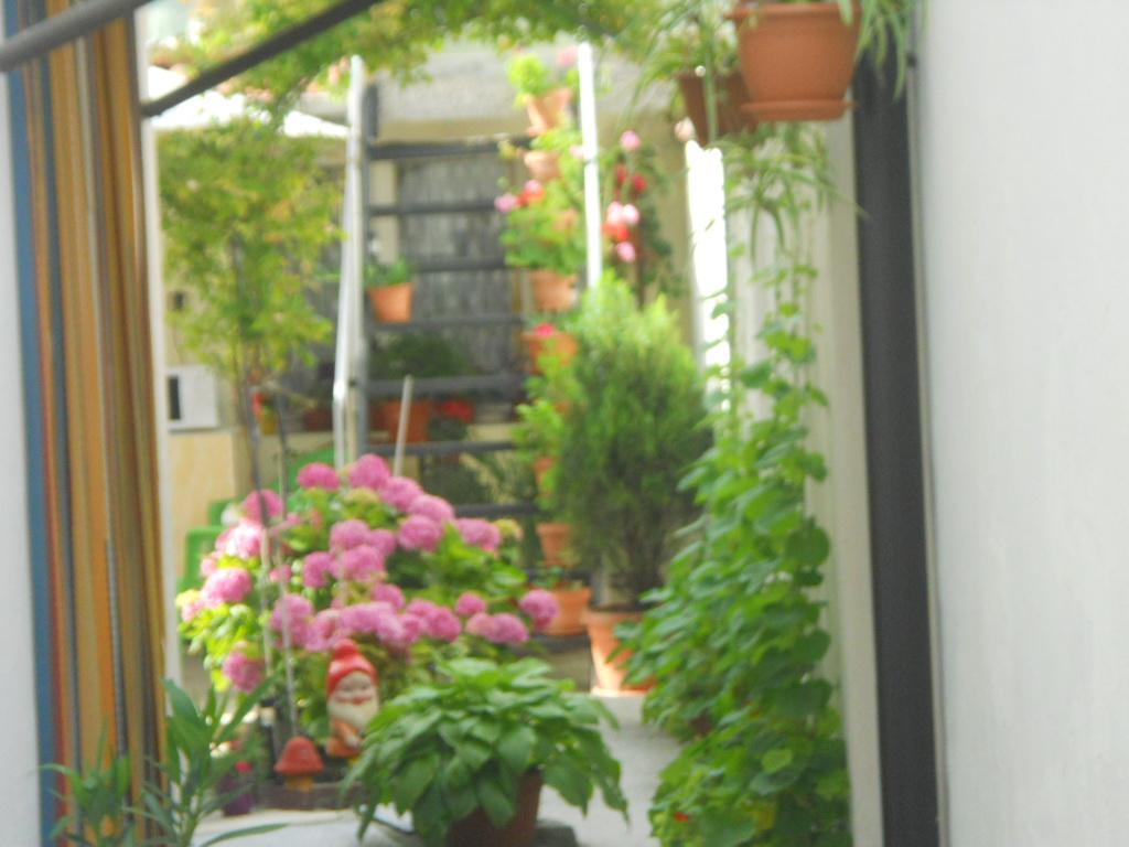 Dom Eli Apartment Pomorie Exterior photo